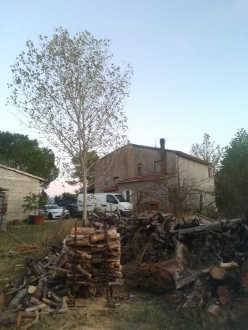 Rustico in vendita a Manciano 800 mq Rif: 1035606 - Foto 10
