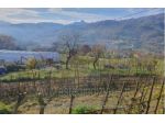 IMMOBILI-ALTRA CATEGORIA-PONTECOSI - LOC. RONCACCIO E PIANETTO