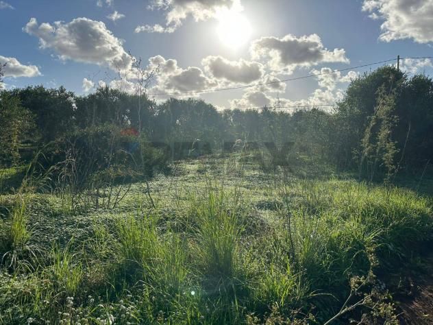 Terreno in vendita a Portopalo di Capo Passero - Foto 5