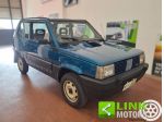 FIAT Panda 1ª serie 1000 4x4 Sisley rif. 22824017