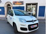 FIAT PANDA 1.2 BENZ 51KW 70CV PERFETTA