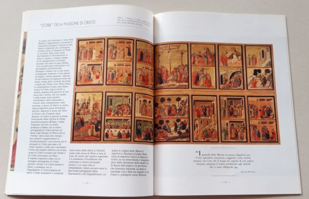 DUCCIO - Foto 6