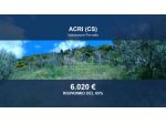 Immobile in asta di 10767 m² in vendita a Luzzi