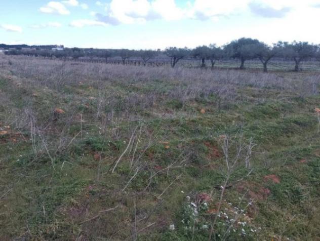 Immobile in asta di 4740 m² in vendita a Mazara del Vallo - Foto 2