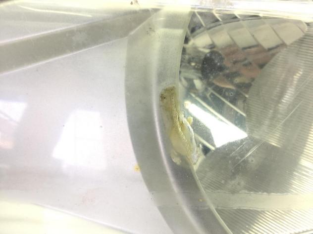 GARELLI XO 125 FARO FANALE FRECCE ANTERIORE 2011 LP5TCJ4A5A - Foto 2