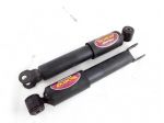 60670494 COPPIA AMMORTIZZATORI POSTERIORI ALFA ROMEO SPIDER 2.0 B 110KW 5M  &hellip;