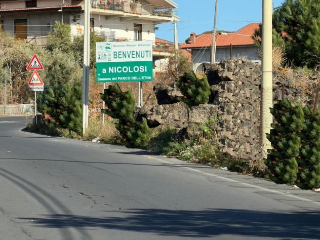 Agricolo in vendita a Nicolosi - Foto 10
