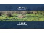 Immobile in asta di 2803 m² in vendita a Ugento
