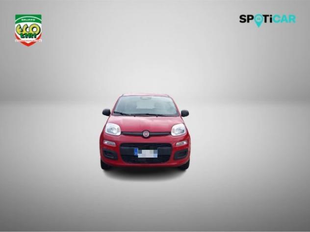 FIAT Panda 1.0 FireFly S&S Hybrid+GPL rif. 24175533 - Foto 2