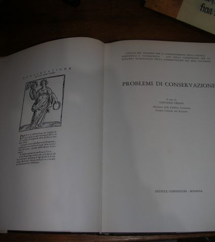 PROBLEMI DI CONSERVAZIONE - Foto 3