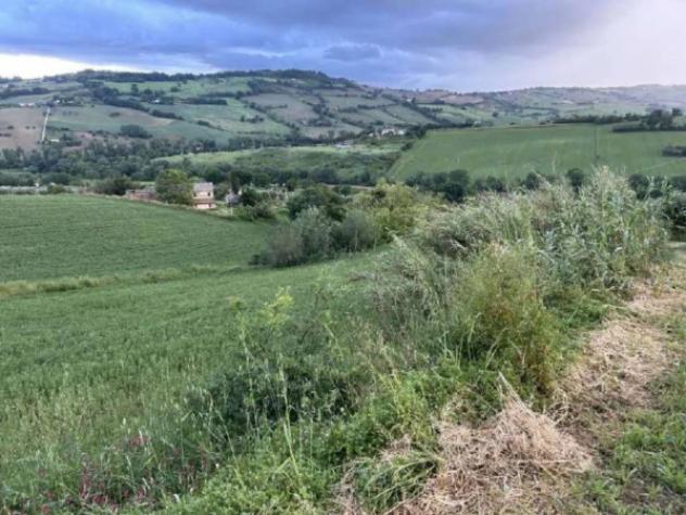 Immobile in asta di 21490 m² in vendita a Potenza Picena - Foto 3