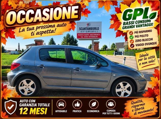 Peugeot 307 1.6 16V 5p. XSI
