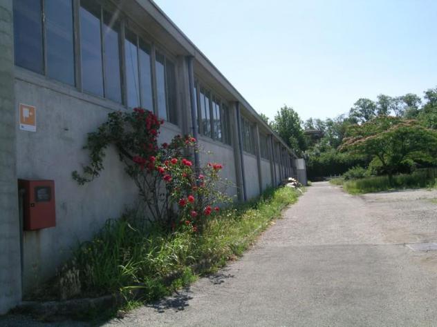 GAVIRATE Oltrona al lago capannone, uffici e appartamento - Foto 3