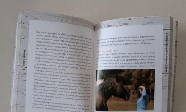 Comprendere il cavallo - Foto 9