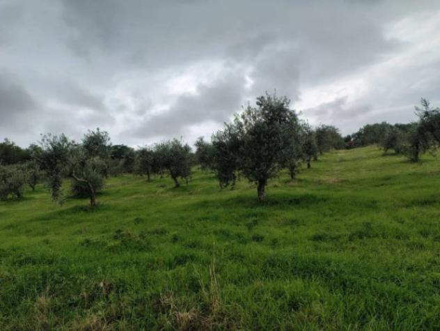Immobile in asta di 138900 m² in vendita a Ascoli Satriano - Foto 7