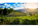 - Monferrato - Langhe - Roero -