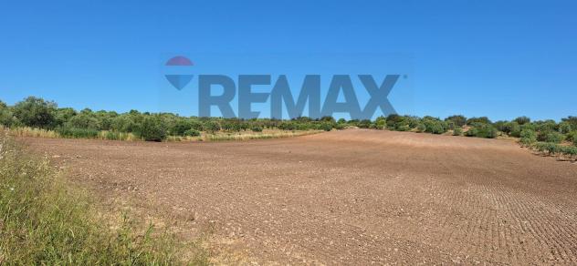 Terreno in vendita a Noto - Foto 16
