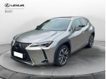 Lexus UX Hybrid Premuium 2WD