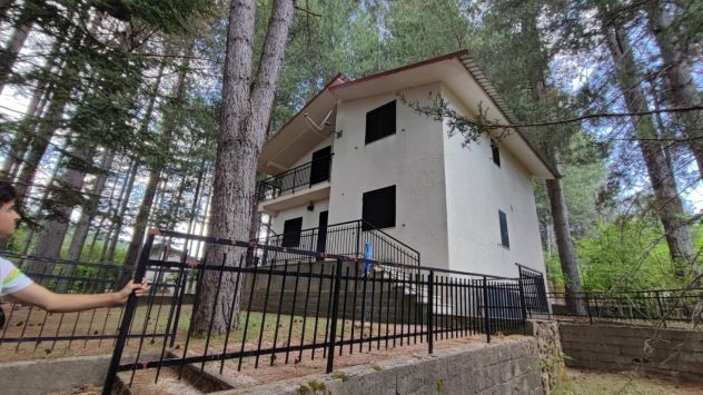 Casa vacanze immersa nella Sila Trepido’ - Foto 2