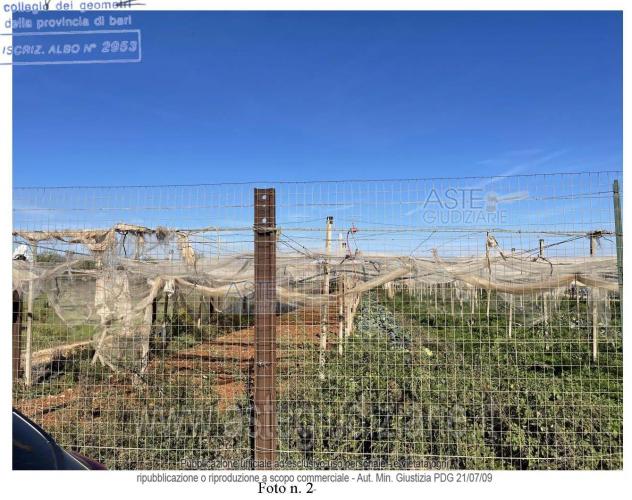 IMMOBILI-ALTRA CATEGORIA-Contrada Martucci, 70014 Conversano BA, Italia - Foto 2