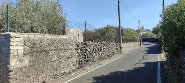 Agricolo in vendita a Misterbianco - Foto 12