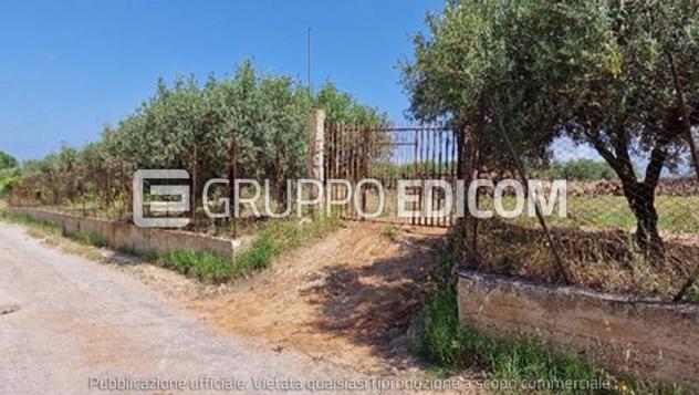 Terreno di 2677 mq  in vendita a Partinico - Rif. 4559575