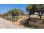Terreno di 2677 mq  in vendita a Partinico - Rif. 4559575