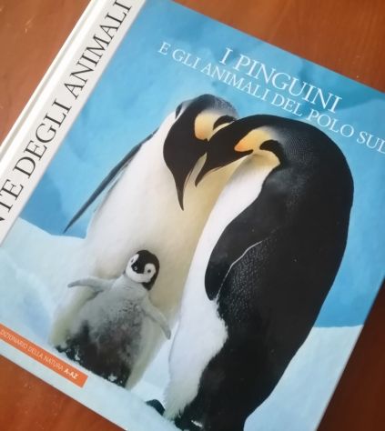 I Pinguini e gli Animali del Polo Sud Vol. 1- RCS 2006 - Foto 2