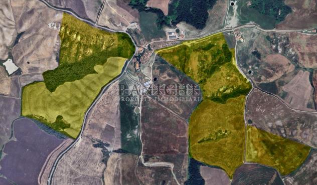 Nel Cuore delle Crete Senesi: 75 Ettari di Terreno Agricolo - Foto 7