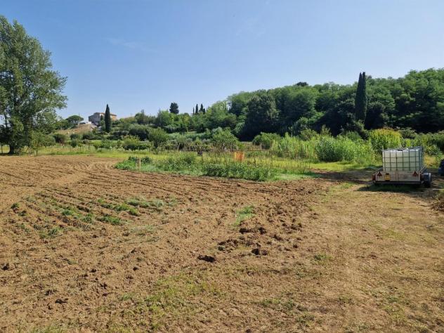 Terreno agricolo in vendita a Perignano - Casciana Terme Lari 3000 mq Rif: 1279542