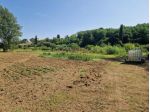 Terreno agricolo in vendita a Perignano - Casciana Terme Lari 3000 mq  Rif: &hellip;