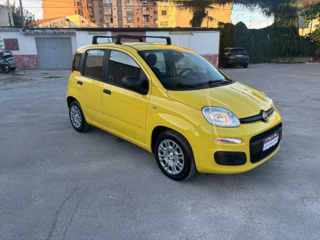 Fiat Panda 1.0 FireFly S&S Hybrid - Foto 3