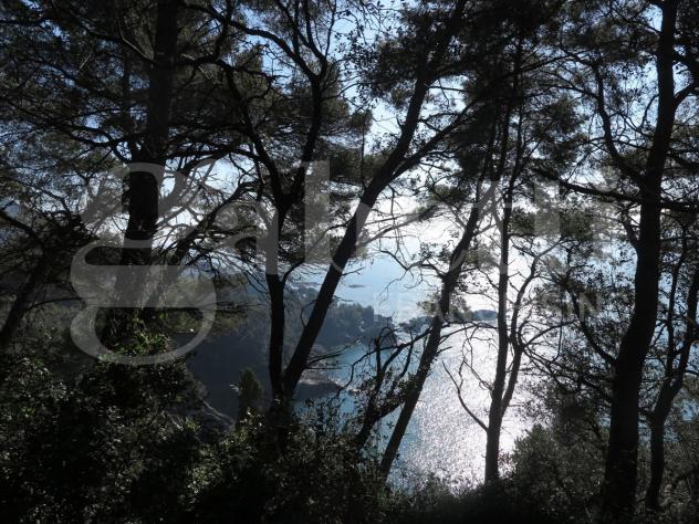 Rustico/Casale/Corte - Lerici . Rif.: 629VRG - Foto 6