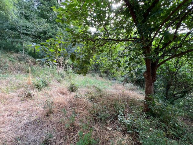 Porzione di casa in vendita a Val Liona - Foto 19