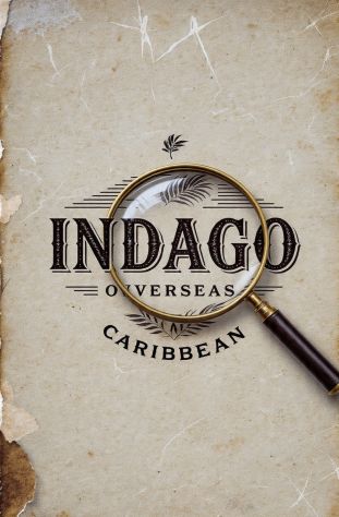 International Investigative Agency Specializing in the Caribbean, Overseas - Foto 5