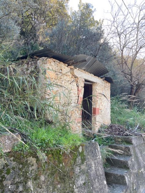 terreno con piccolo rudere - Foto 4