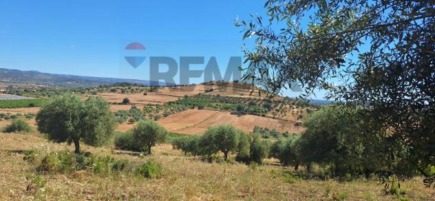 Terreno in vendita a Noto - Foto 3