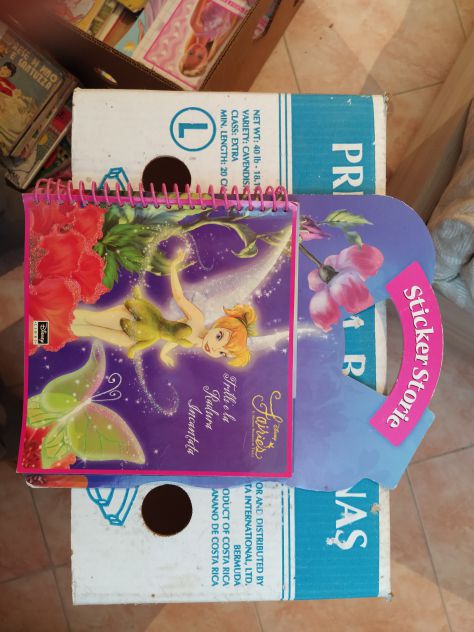R69-   DISNEY- FAIRIES