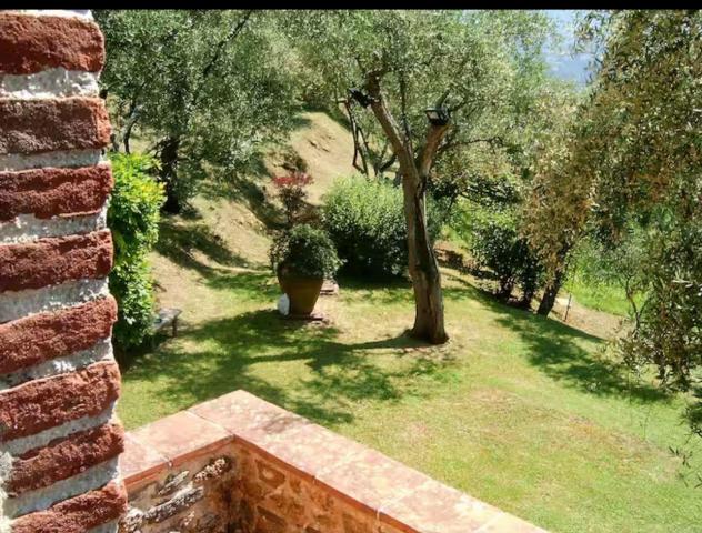 Rustico in vendita a Camaiore 230 mq Rif: 1315154 - Foto 5