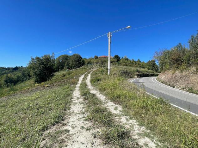 Terreno di 6000 m² in vendita a Pavarolo - Foto 2