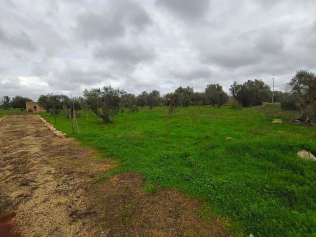 Terreno edificabile in vendita a Sannicola - Foto 7
