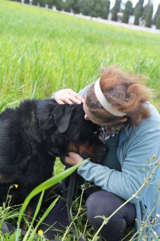 Jane la fantastica cagnolina che aspetta una famiglia - Foto 5