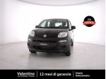 FIAT Pandina 1.0 firefly hybrid Icon s&s 65cv