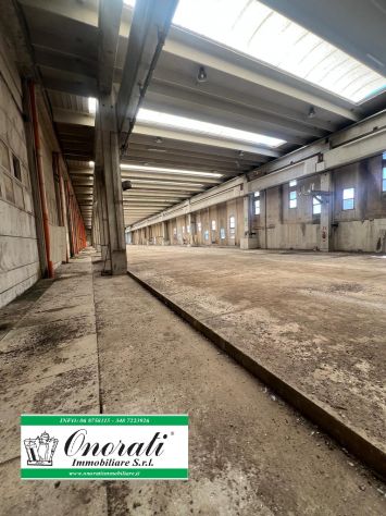 MQ 16.500 ORTE (VT), Rif. V-644. - Foto 5