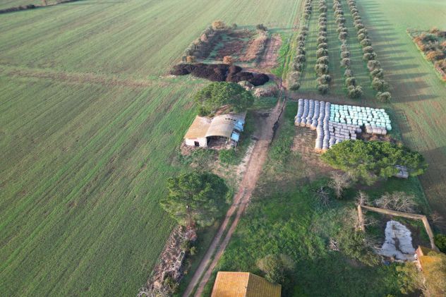 Magliano in Toscana, Podere Pantanella unione di passione e buon gusto - Foto 14