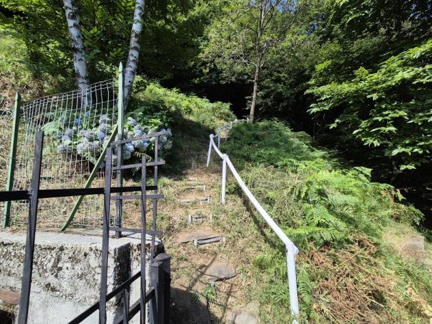 Singola in vendita a Intragna - Foto 8