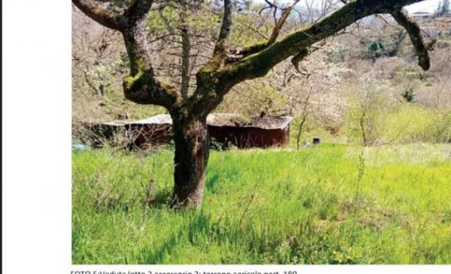 Immobile in asta di 186 m² con più di 5 locali in vendita a Longone Sabino - Foto 13