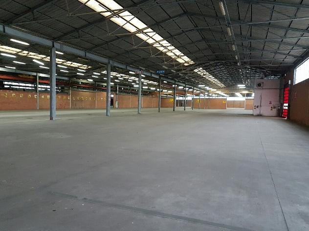 Magazzini uso logistica o stoccaggio su strada Cispadana - mq 10.000 coperti - Foto 2