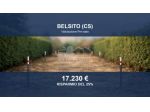 Immobile in asta di 1920 m² in vendita a Belsito