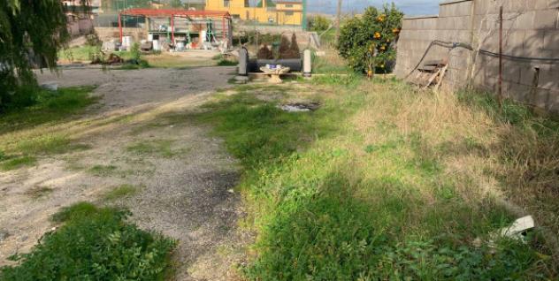 Immobile in asta di 1643 m² in vendita a Nettuno - Foto 4